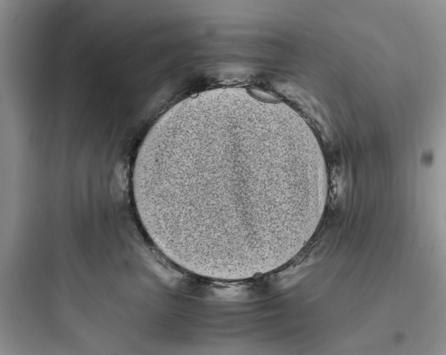 X0000097640667200803211834