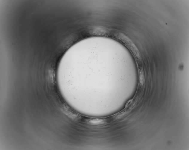 X0000097640669200803211834