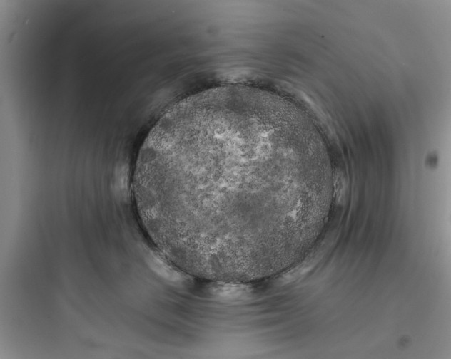 X0000097640670200803211834