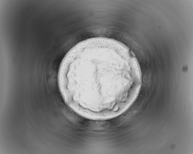 X0000097640671200803211834