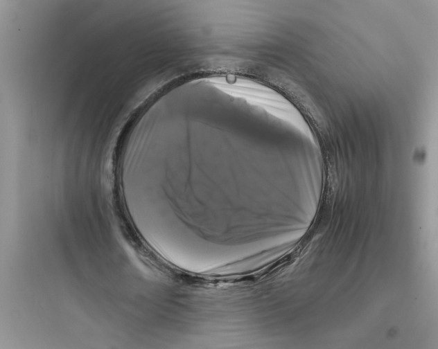 X0000097640674200803211833