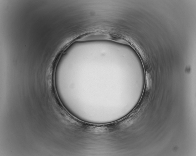 X0000097640675200803211833