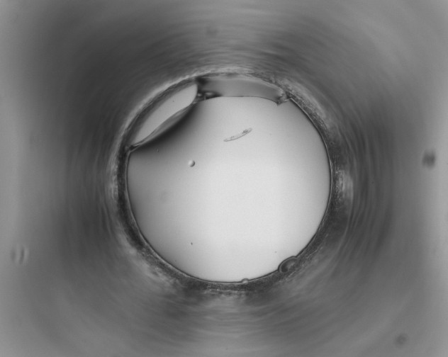 X0000097640676200803211833