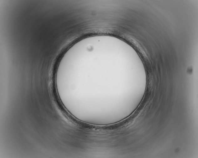 X0000097640677200803211833