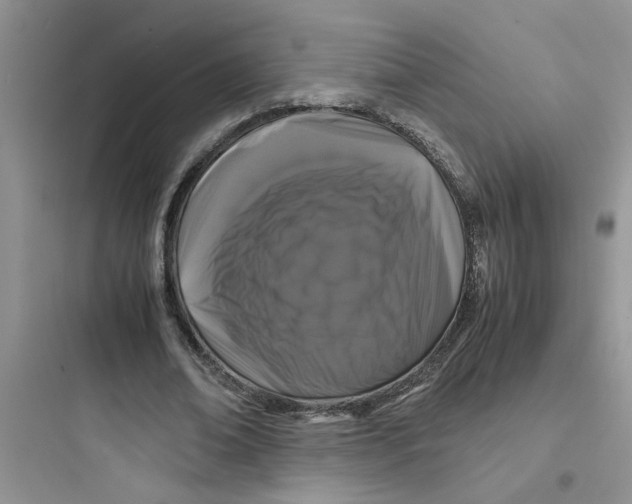 X0000097640678200803211833