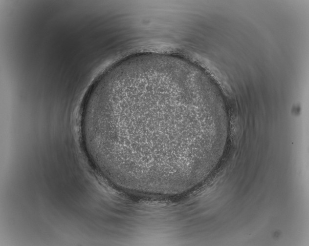 X0000097640679200803211833