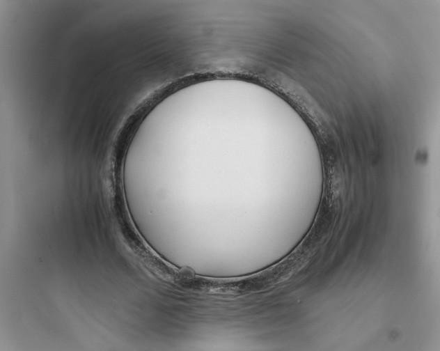 X0000097640680200803211833