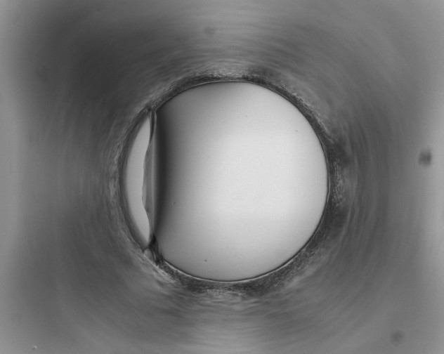 X0000097640681200803211833