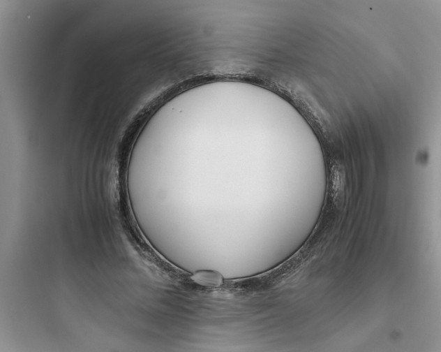 X0000097640684200803211833