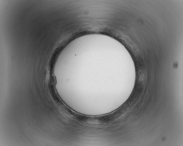 X0000097640685200803211833