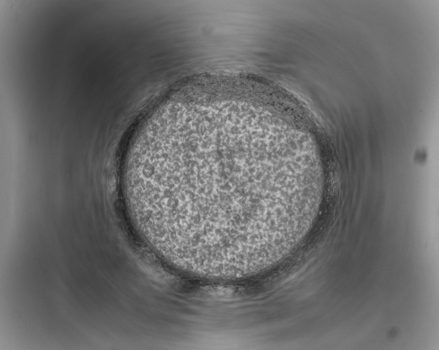 X0000097640687200803211833