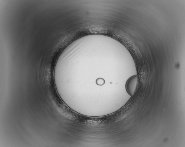 X0000097640690200803211833