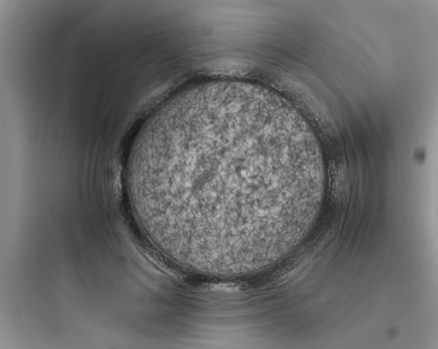 X0000097640692200803211833