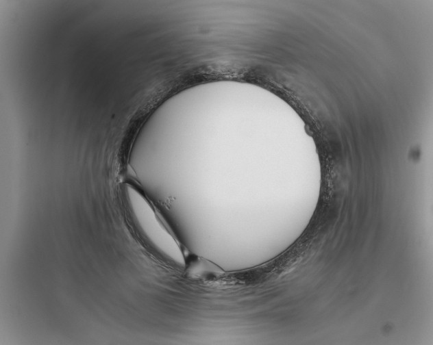 X0000097640693200803211833