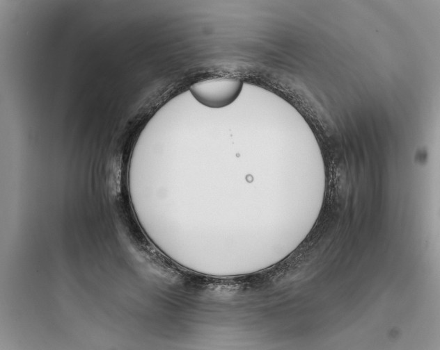 X0000097640694200803211833