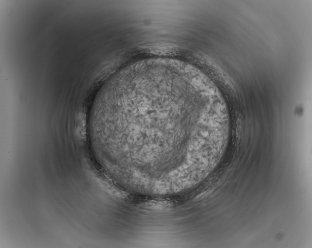 X0000097640696200803211833