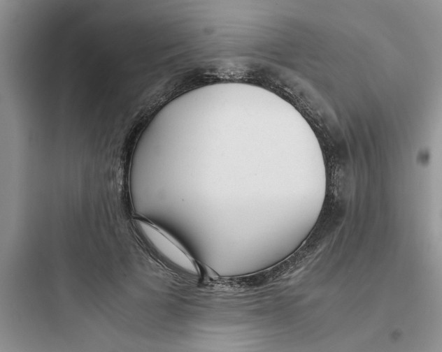 X0000097640697200803211833