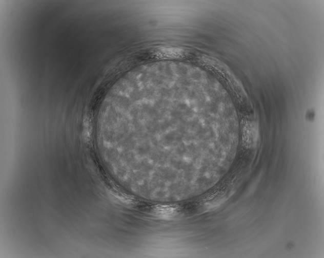 X0000097640701200803211833