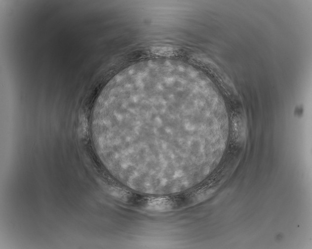 X0000097640705200803211833