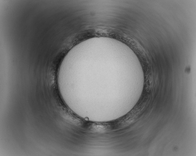 X0000097640706200803211833