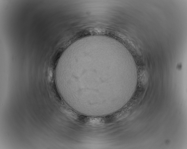 X0000097640709200803211832