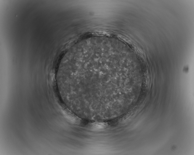 X0000097640711200803211832