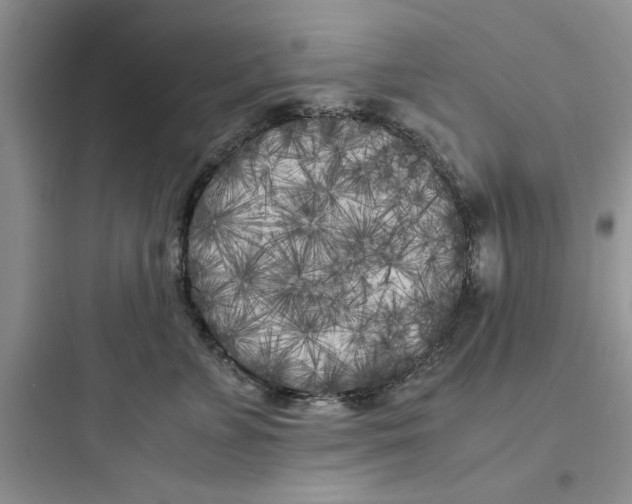 X0000097640715200803211832