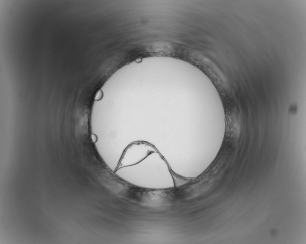 X0000097640717200803211832