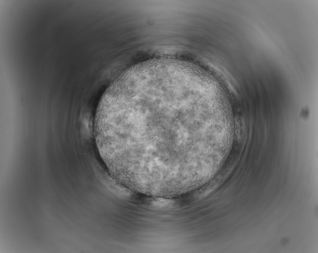 X0000097640718200803211832