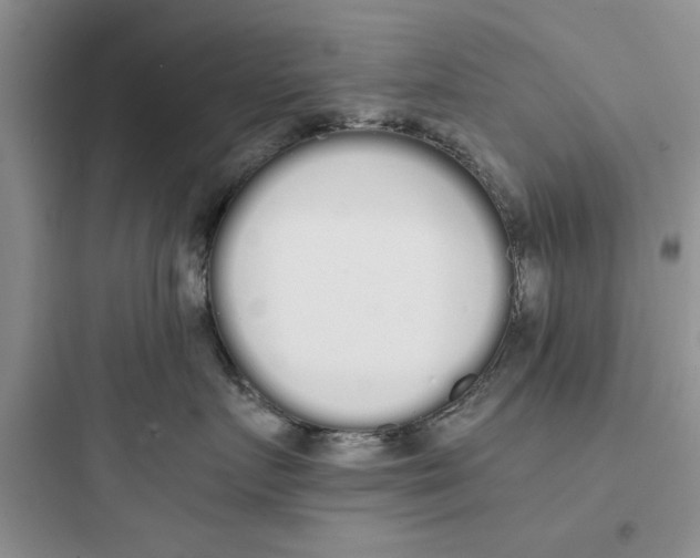 X0000097640719200803211832