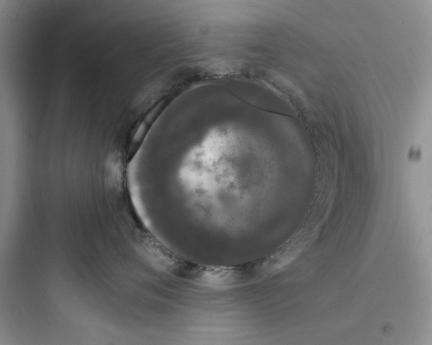 X0000097640720200803211832