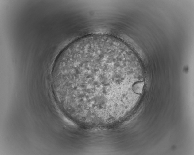 X0000097640721200803211832