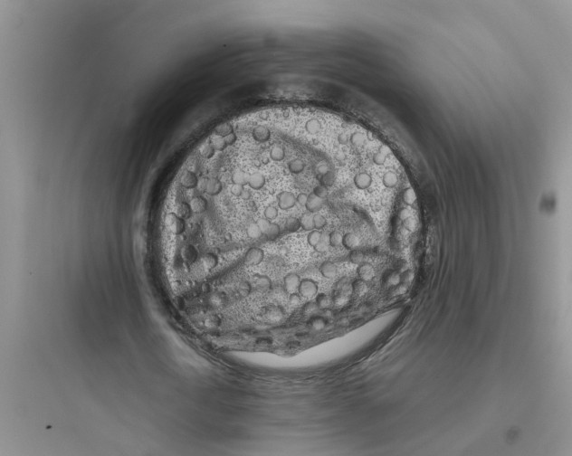 X0000097640722200803211832