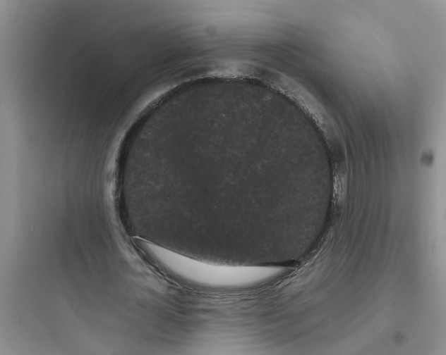 X0000097640724200803211832