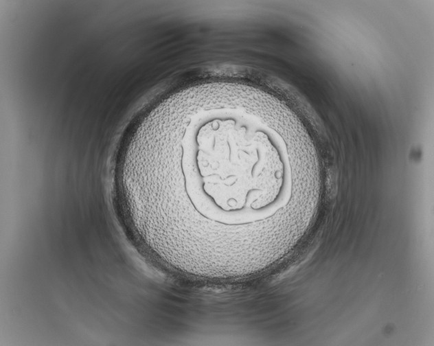 X0000097640725200803211832