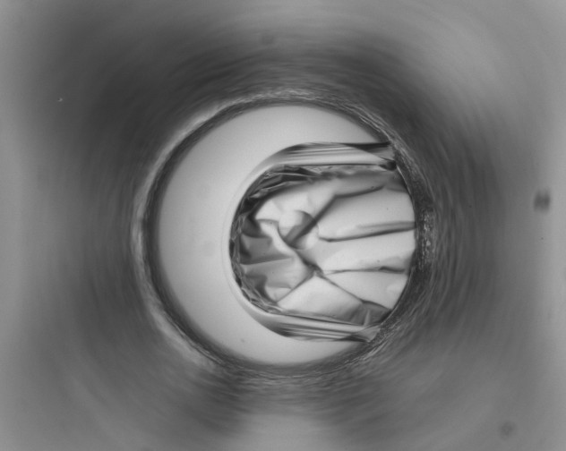 X0000097640726200803211832