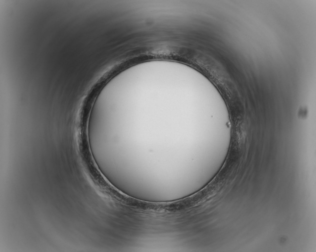 X0000097640728200803211832