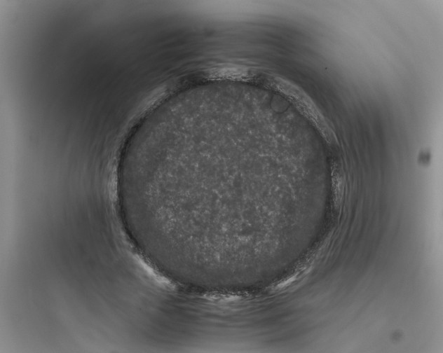 X0000097640729200803211832