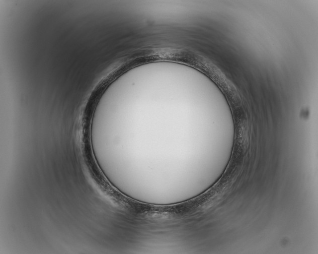 X0000097640730200803211832