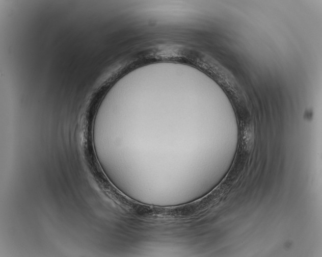 X0000097640732200803211832