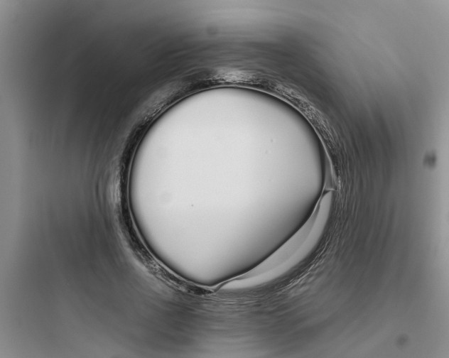 X0000097640734200803211832