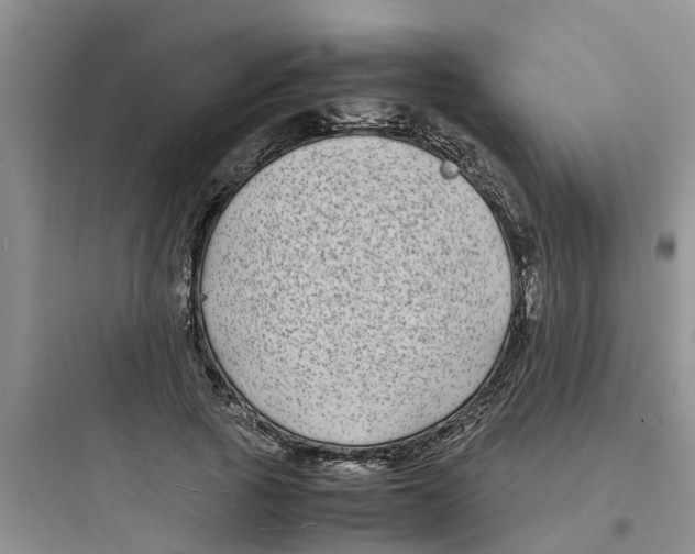 X0000097640737200803211832