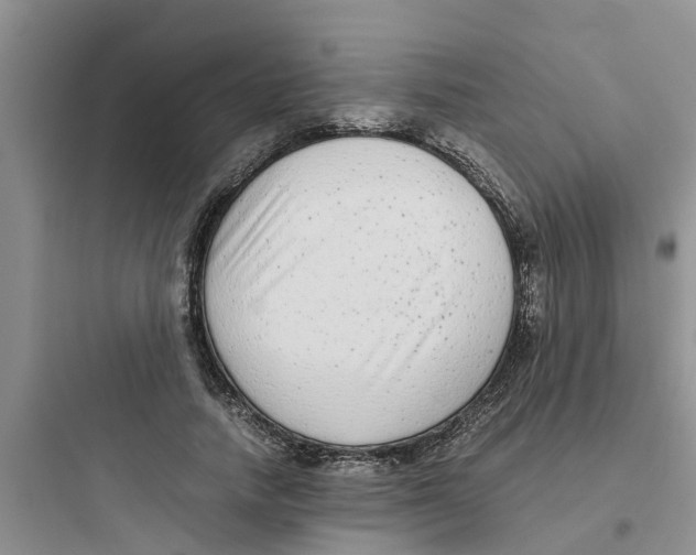 X0000097640738200803211832