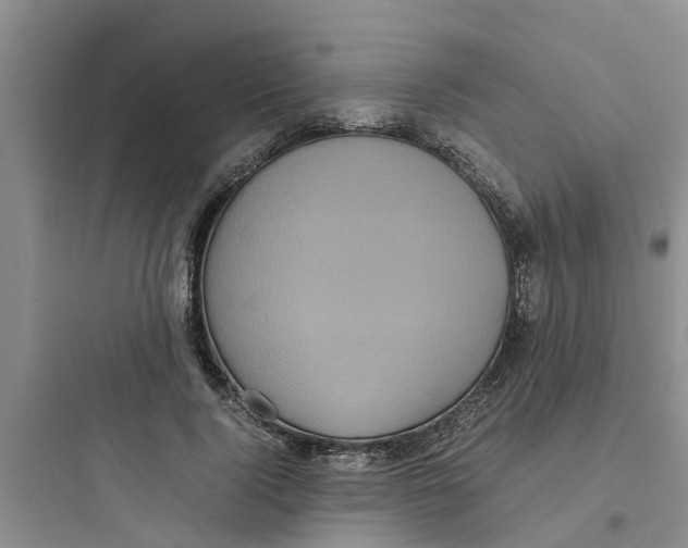 X0000097640740200803211832