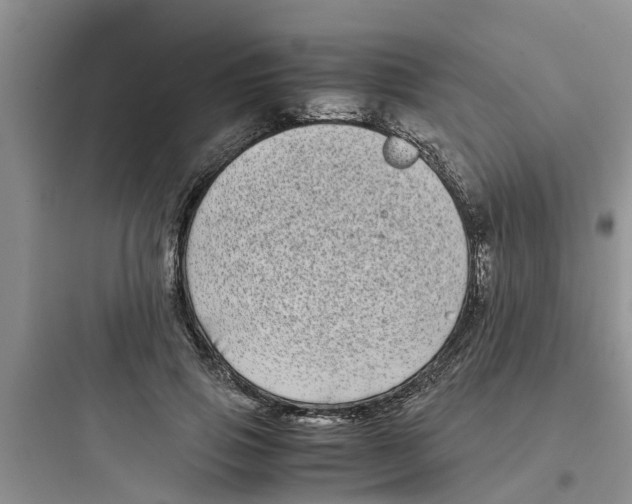 X0000097640741200803211832