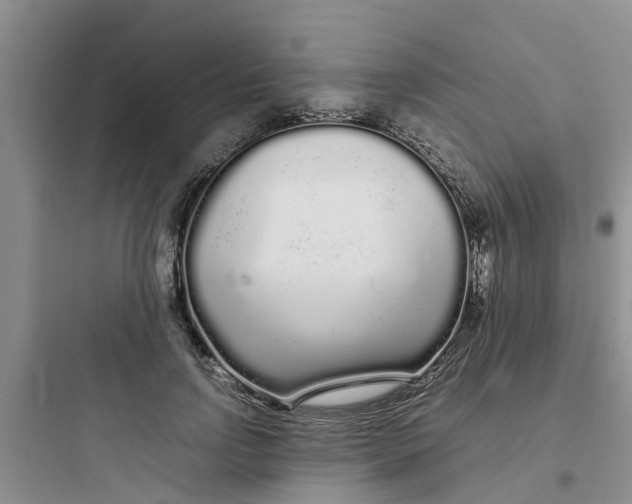 X0000097640742200803211832