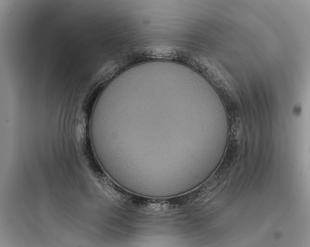 X0000097640744200803211832