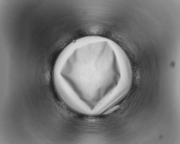 X0000097640746200803211832