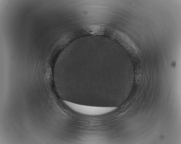 X0000097640748200803211832