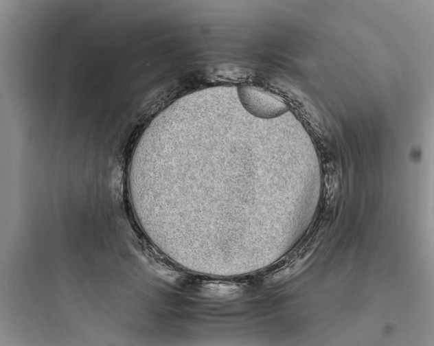 X0000097640749200803211832